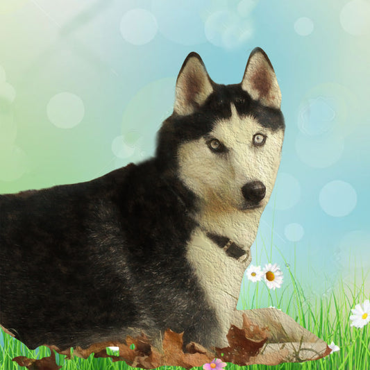 Pet Portrait with Seasonal Background