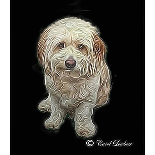 Pet on Black Background - custom pet portrait