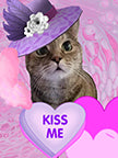 Purple Pet Valentine Portrait