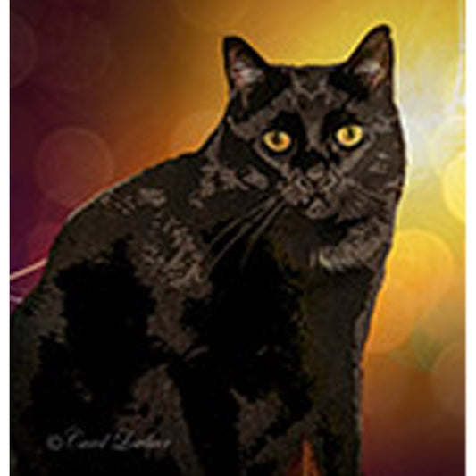 Pet Portrait with Gold Bubble Background
