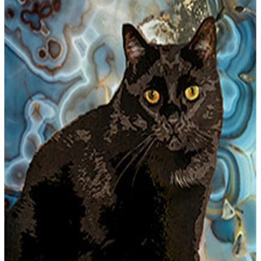 Pet Portrait with Blue Bubble Background