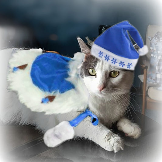 Christmas - Blue Santa Pet Portrait