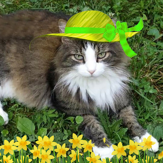 Pet Portrait - Lime Green Easter Bonnet