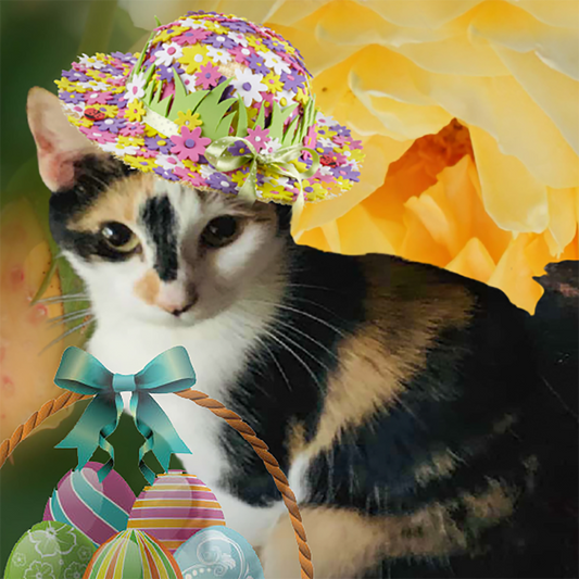 Pet Portrait - Flowered Easter Bonnet