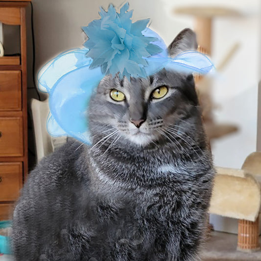 Pet Portrait - Easter Fancy Blue Hat with Feather