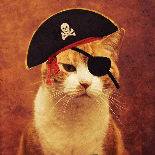 Halloween Pet Pirate Portrait