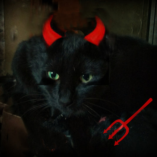 Halloween Red Devil Pet Pirate Portrait