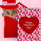 Red Pet Valentine Card Portrait
