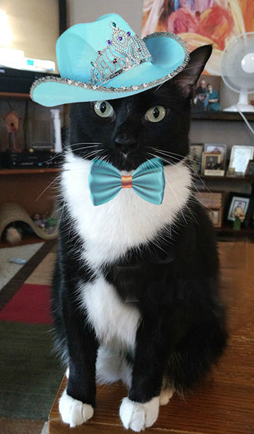 Pet Portrait - Special Turquoise Cowboy Hat Full Body