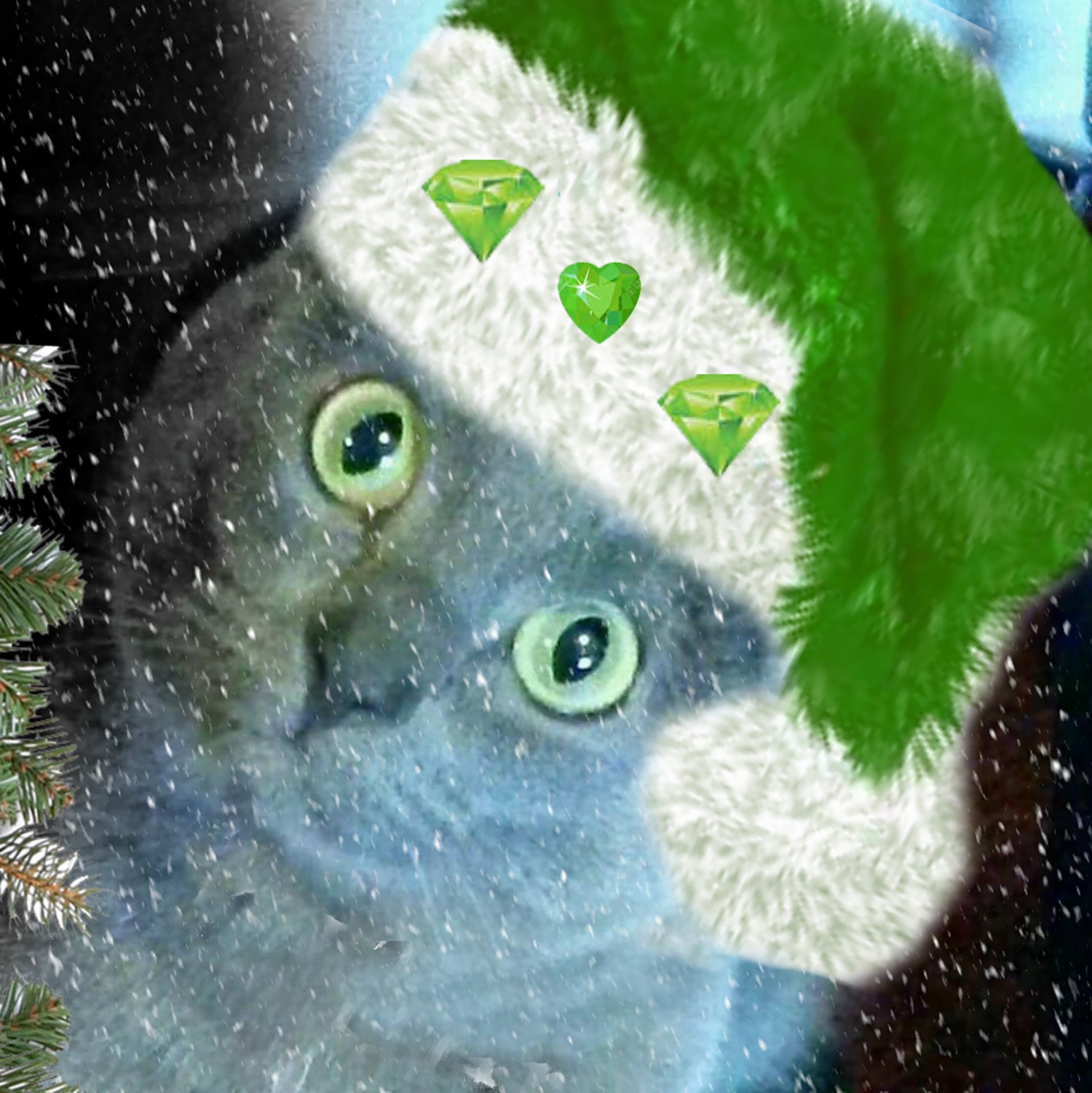 Christmas Green Santa Pet Portrait Creative Pet Portraits