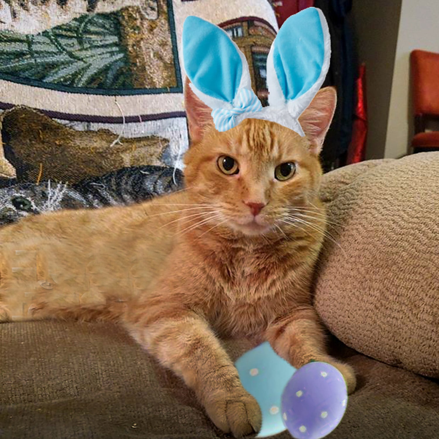 Pet Portrait - Easter Blue Bunny Ears Cap