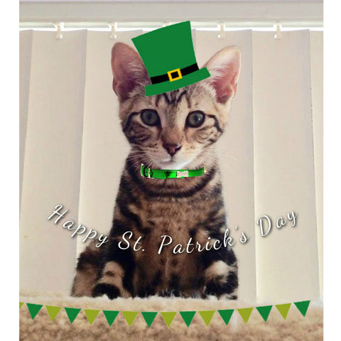 Pet St. Paddy Card Portrait