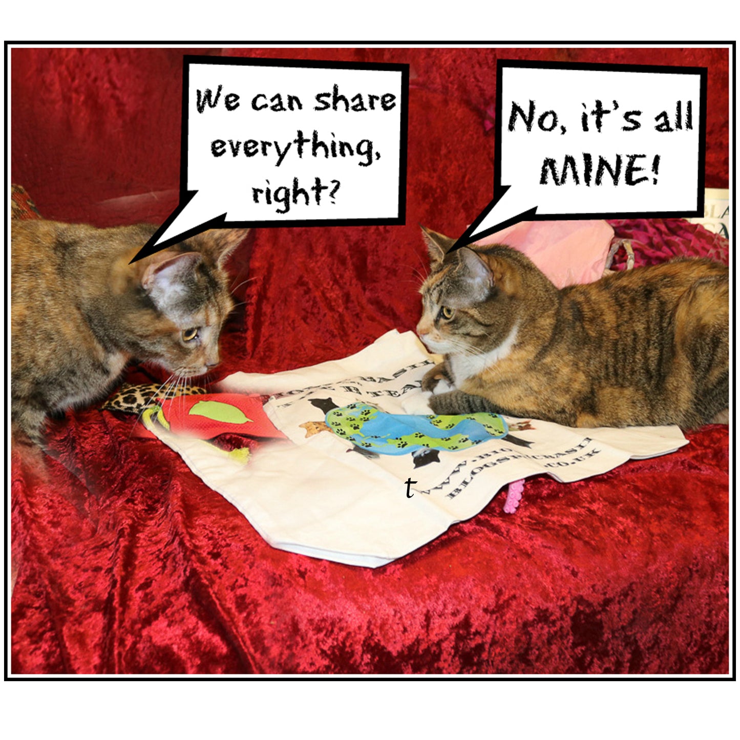 I Don't Share My Toys Digital Card - Peaches & Paprika cats