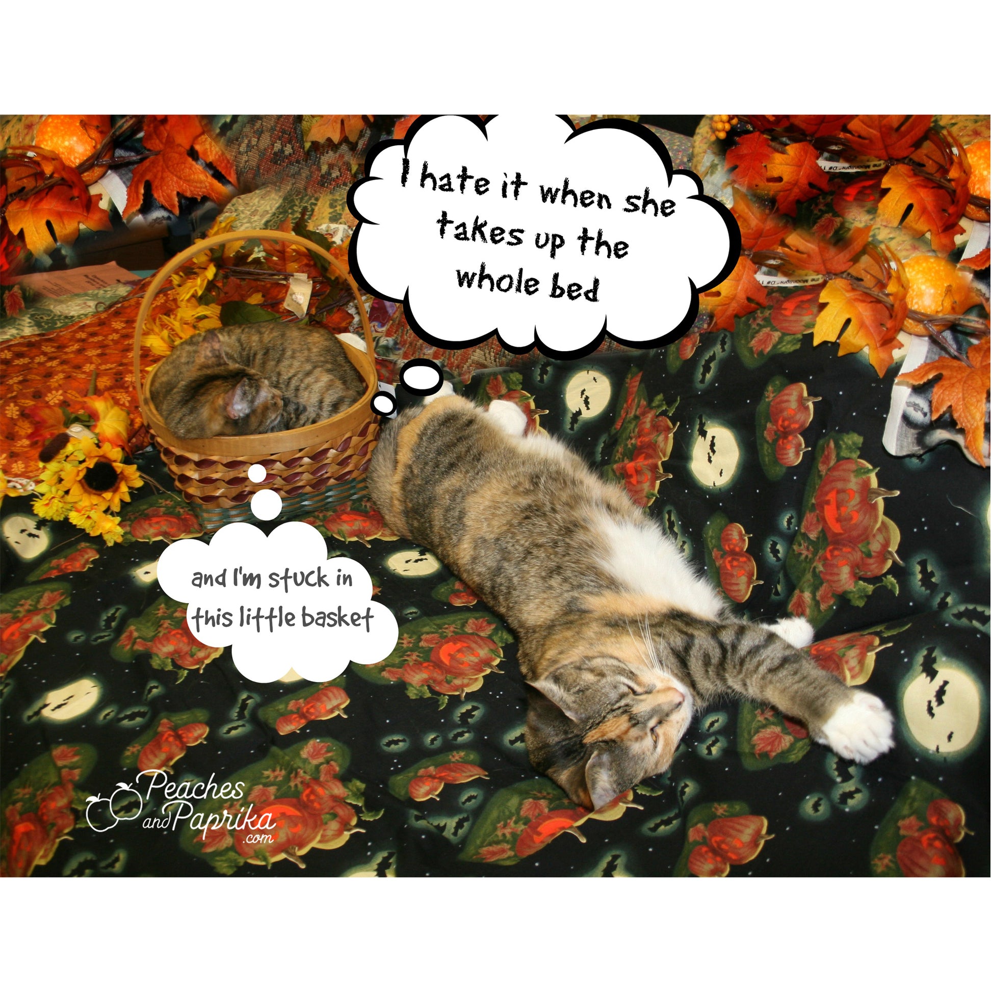 Unfair Use of Space Digital Card - Peaches & Paprika cats