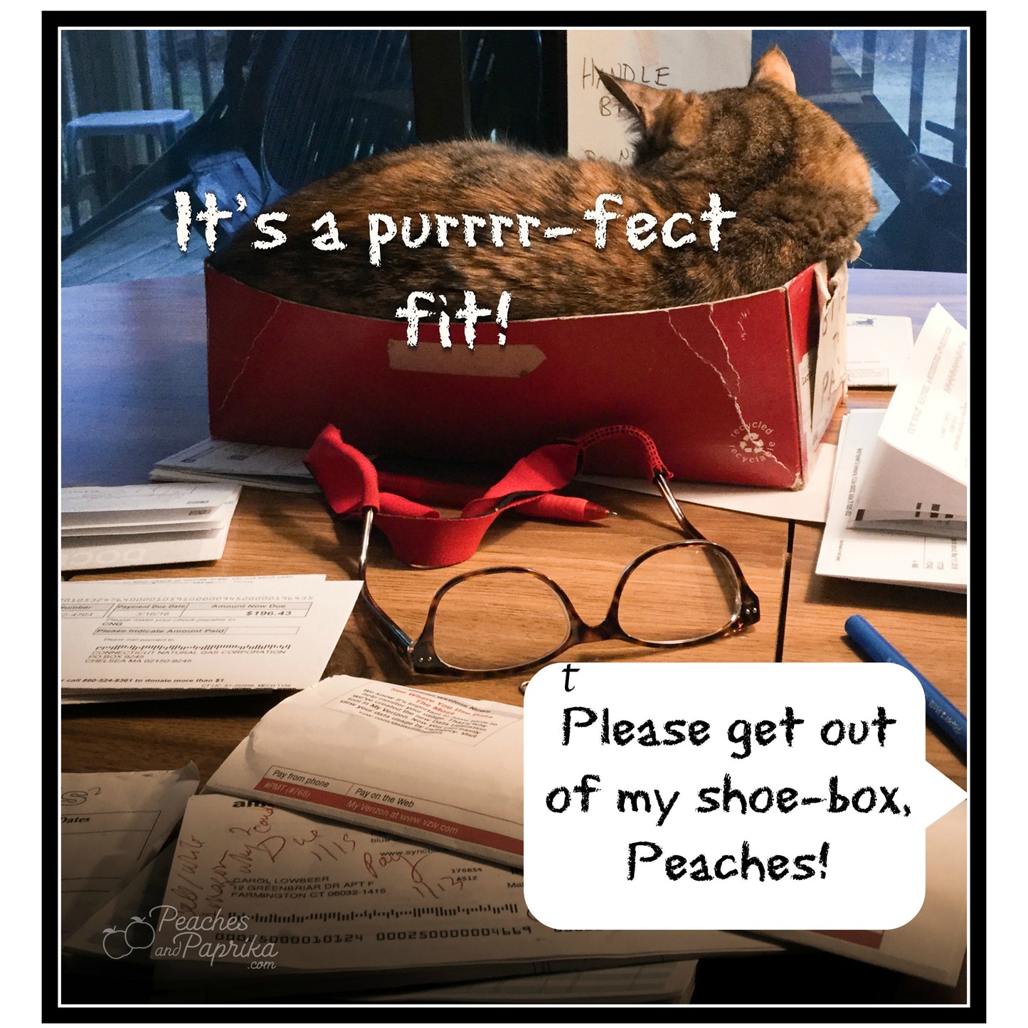 The Purrrfect Box Digital Card - Peaches & Paprika Cats
