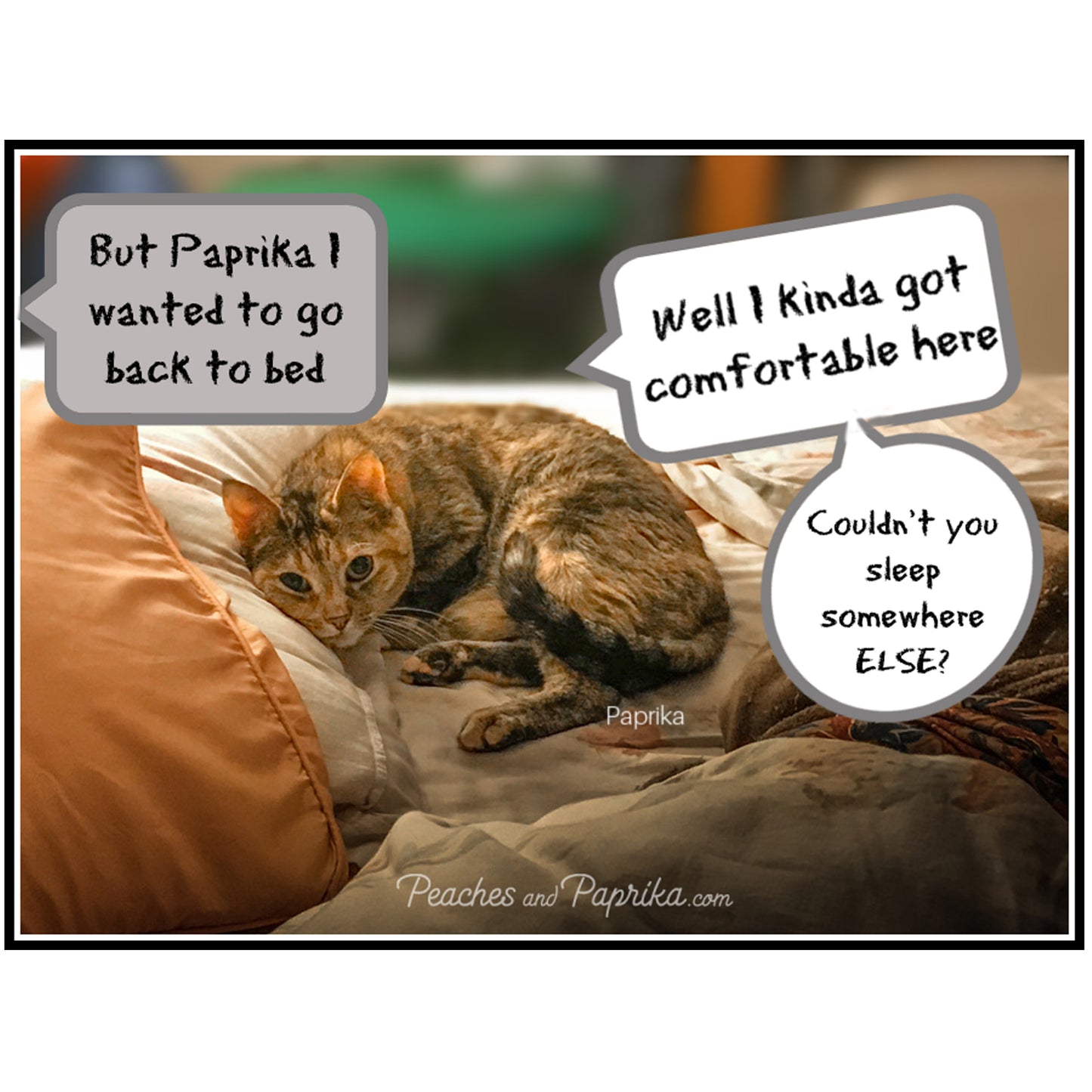 Paprika Stakes Out a Claim Digital Card - Peaches & Paprika cats