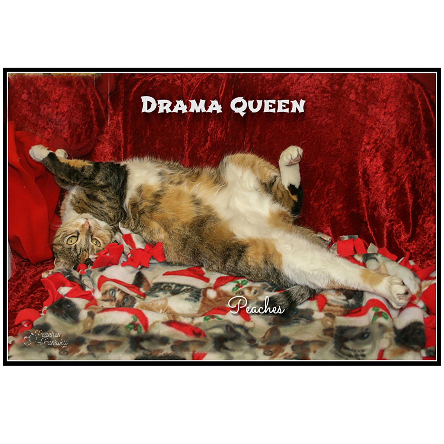 Drama Queen Digital Card - Peaches & Paprika cats