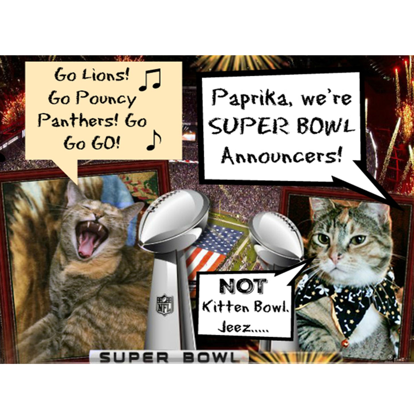 Superbowl Sunday Digital Card