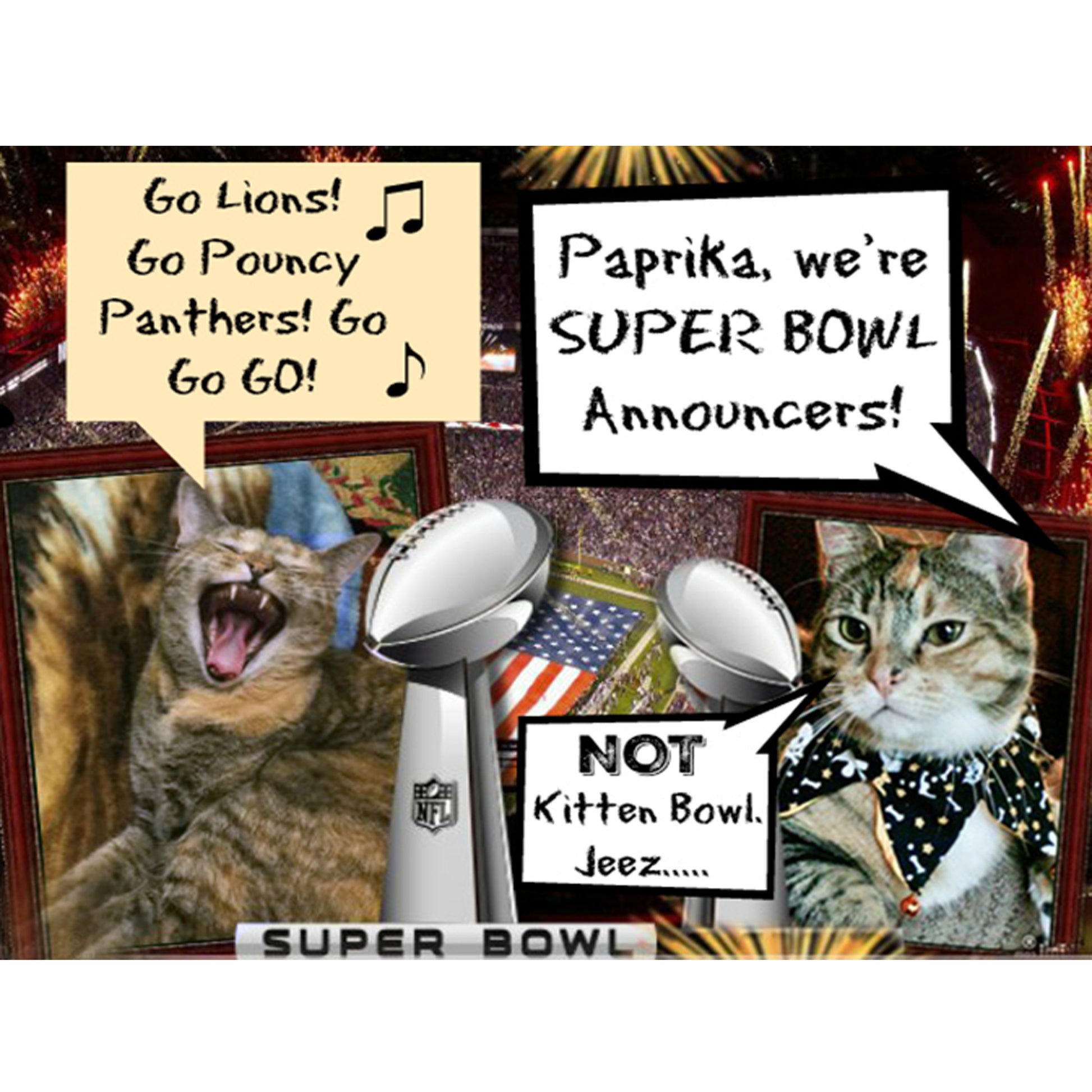 Superbowl Sunday Digital Card