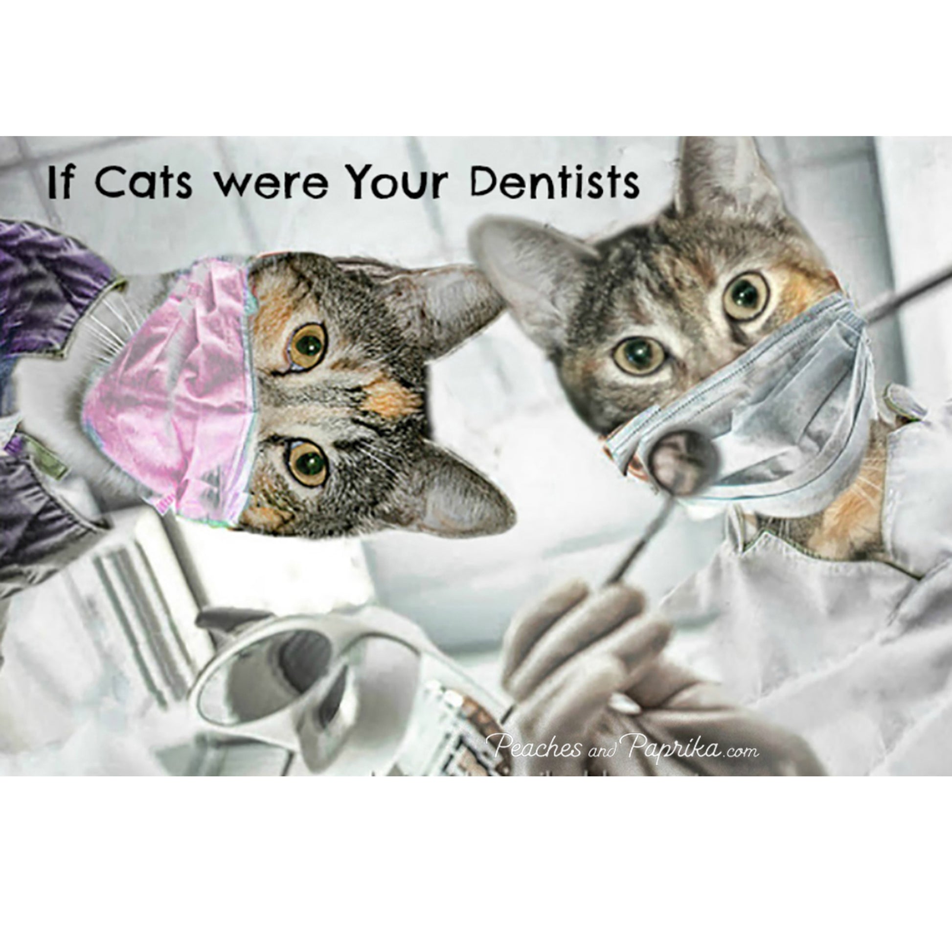 National Dentist's Day Digital Card - Peaches & Paprika cats