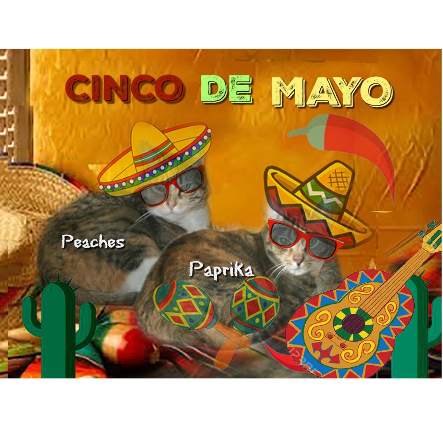 Cinco de Mayo Digital Card - Peaches & Paprika cats