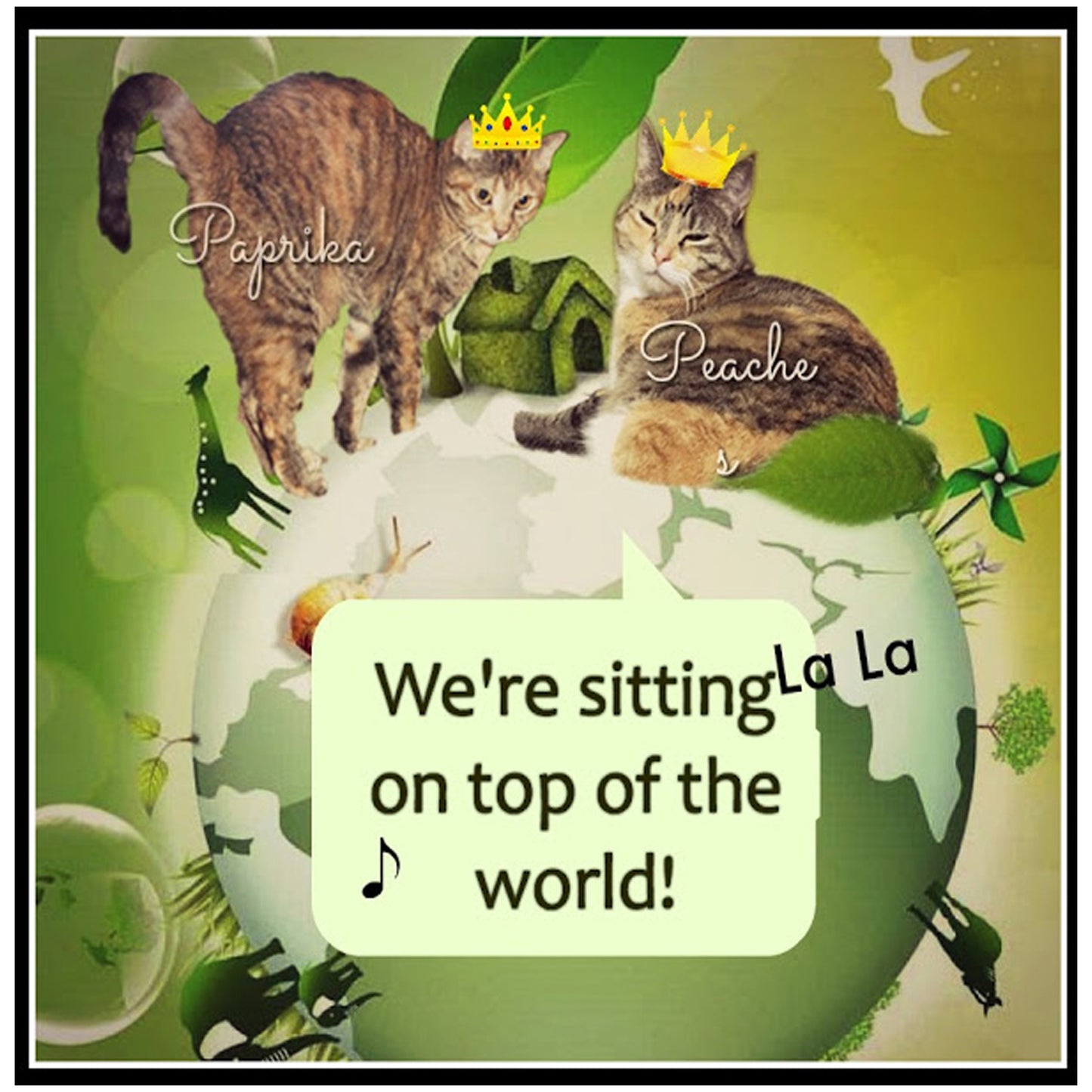 Cat World Domination Day Digital Card