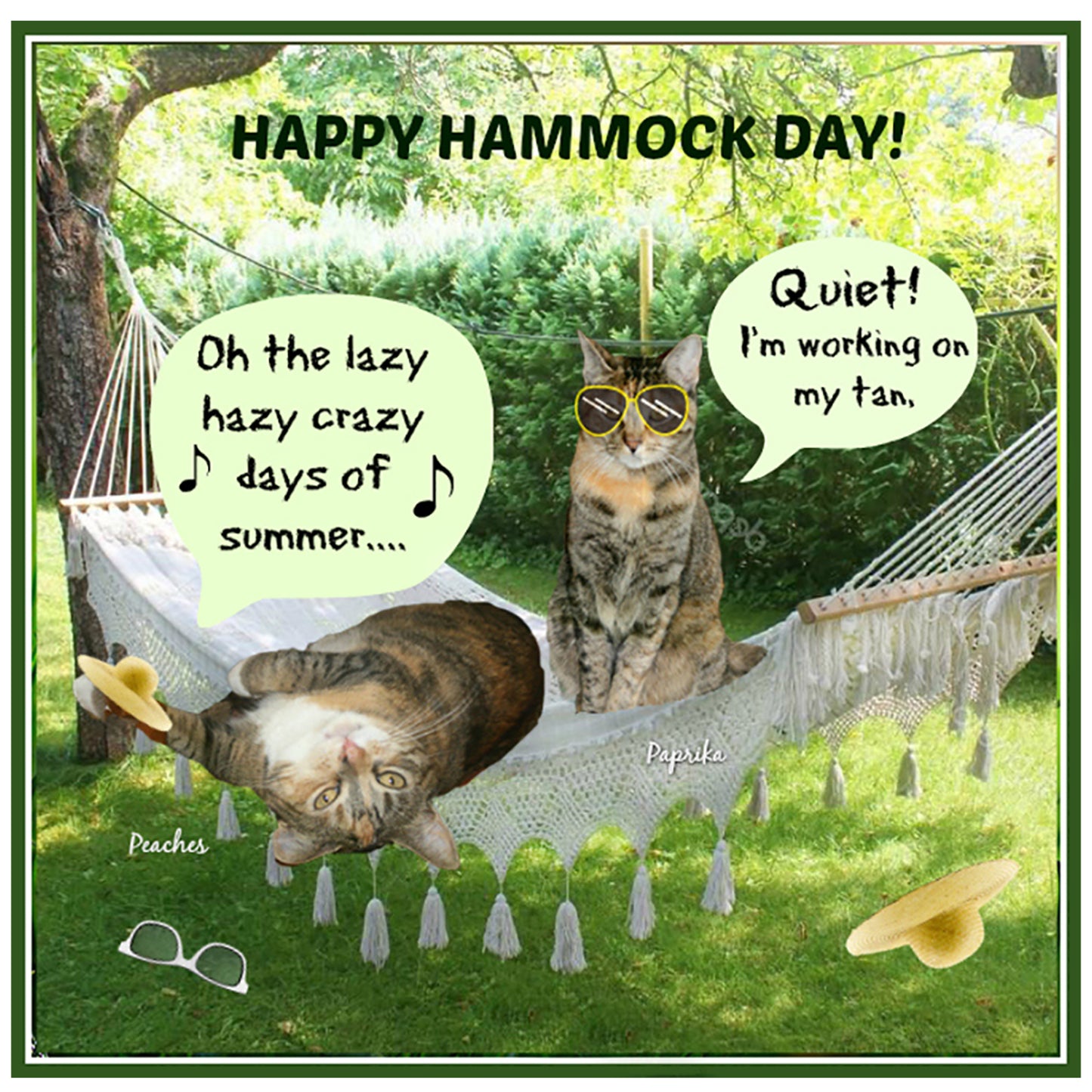 National Hammock Day Digital Card - Peaches & Paprika cats