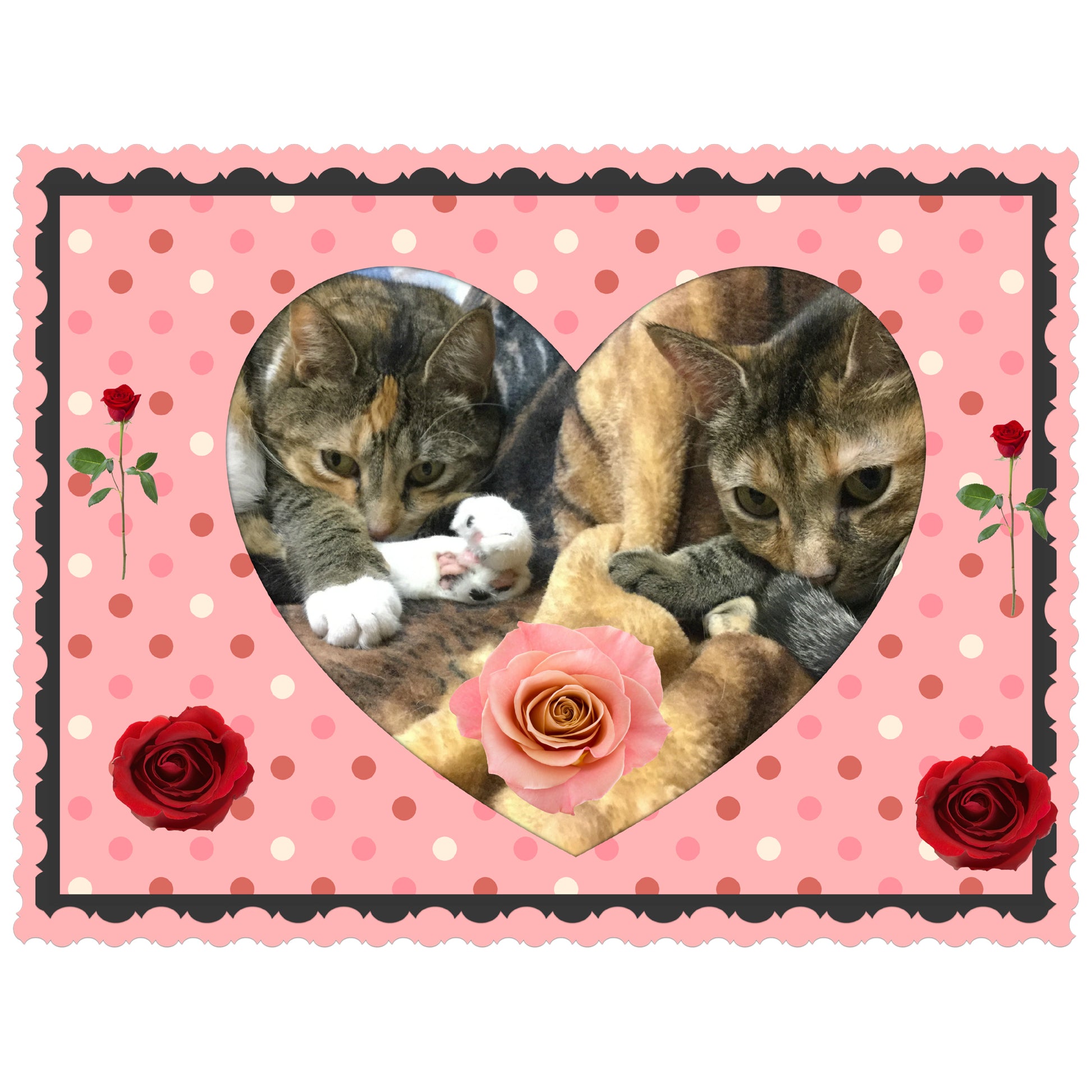 International Cat Day Digital Card - Peaches & Paprika cats