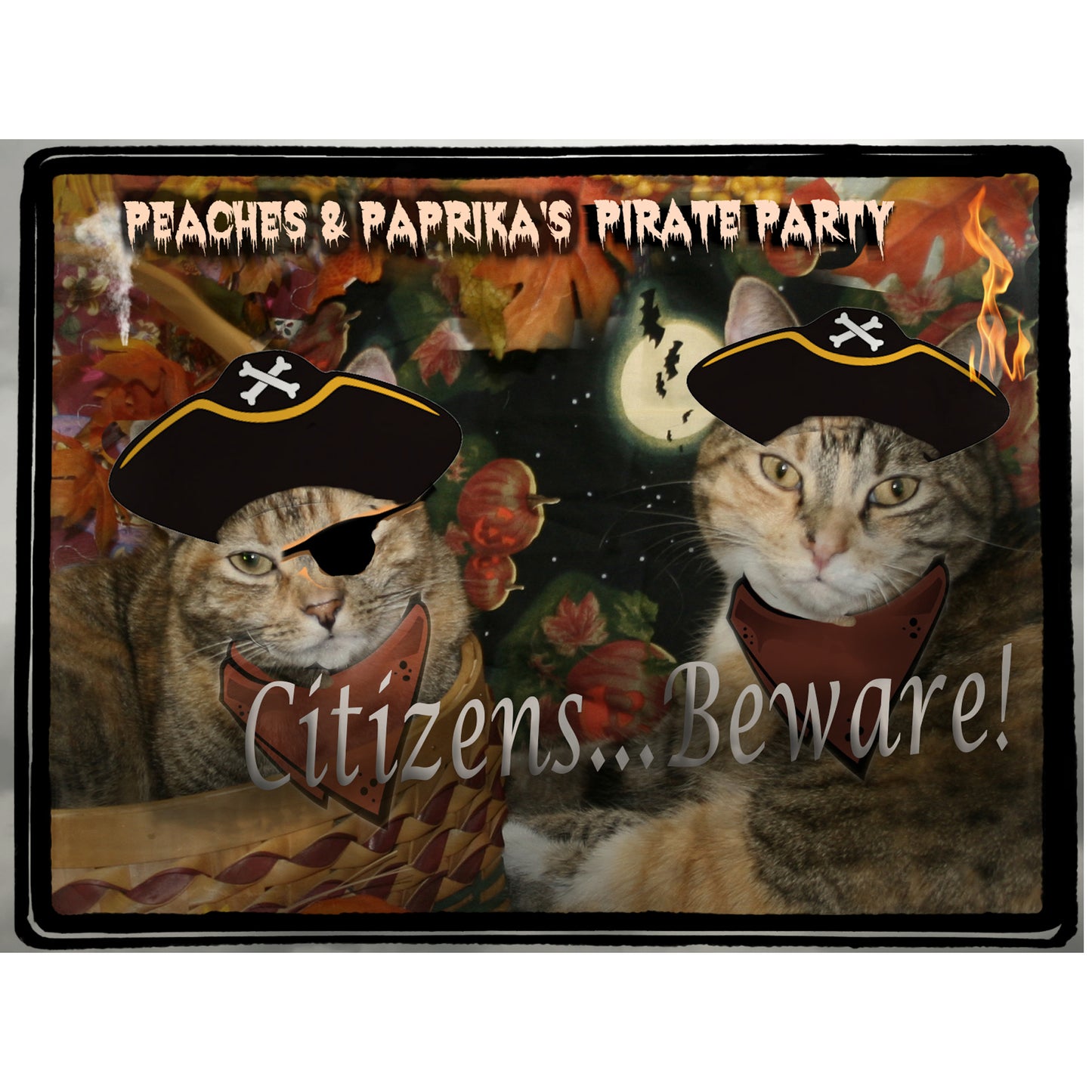 Meow Like a Pirate Day Digital Card - Peaches & Paprika cats
