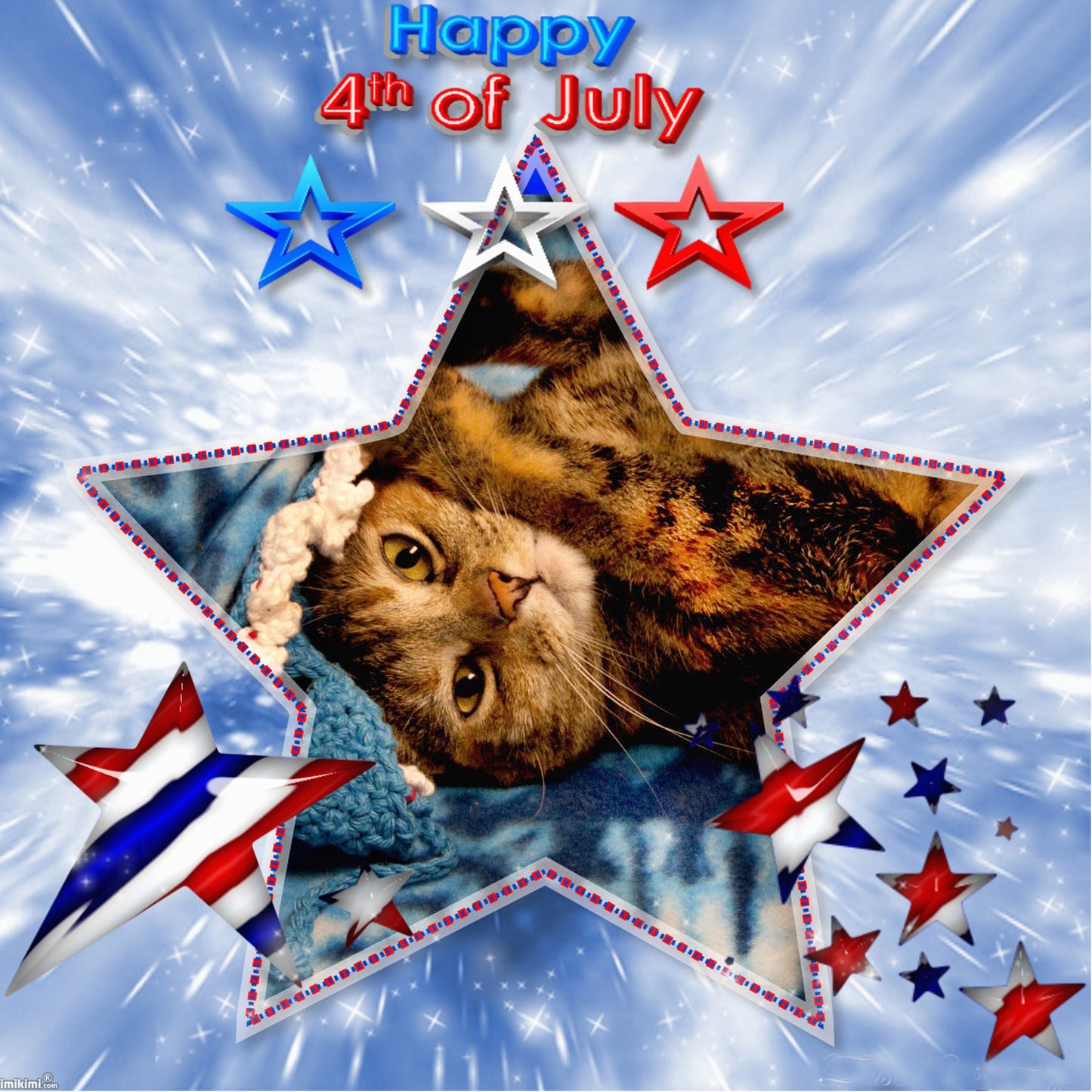 Happy 4th of July Digital Card - Peaches & Paprika cats