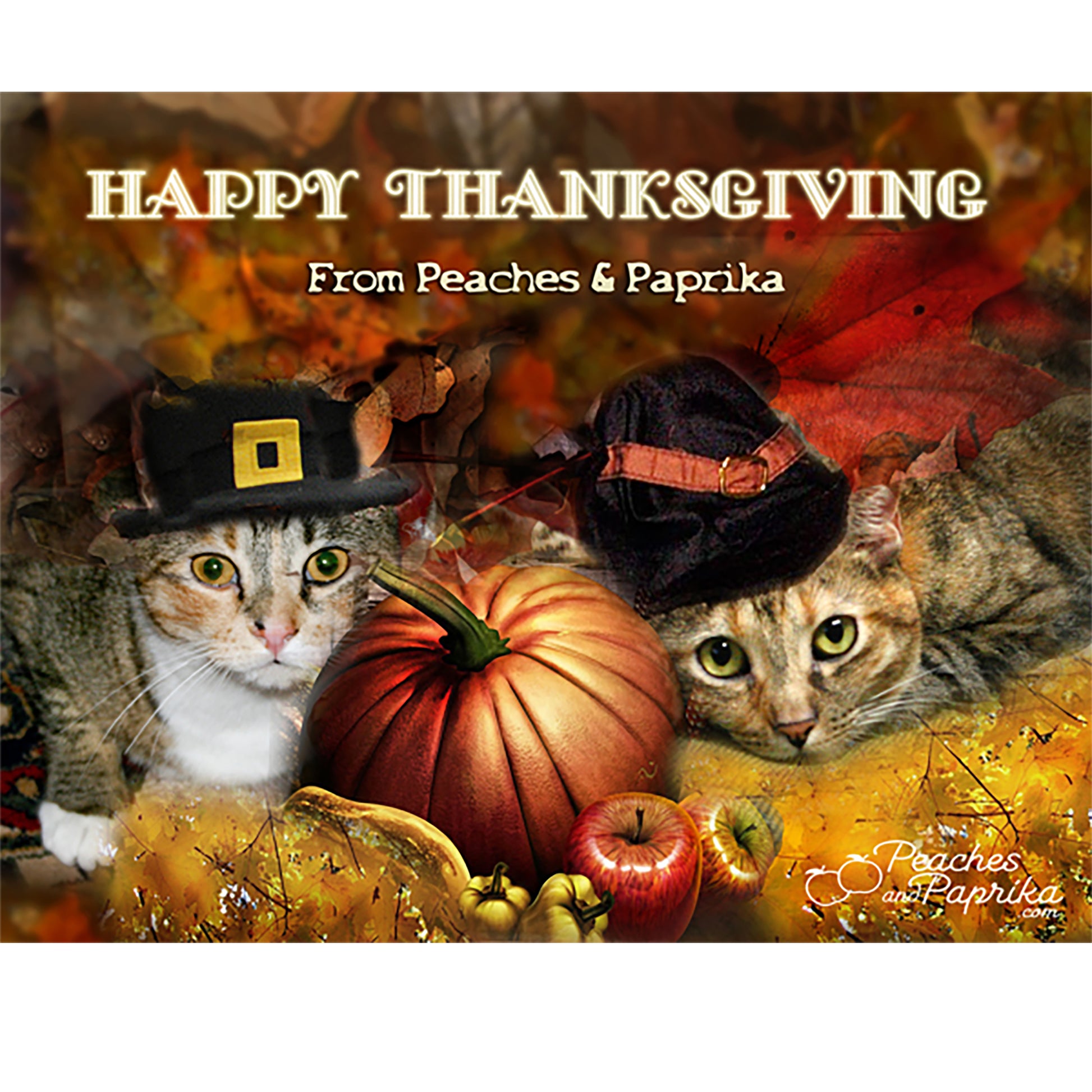 Happy Thanksgiving Greeting Digital Card